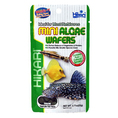 Hikari Mini Algae Wafers Herbivores Fish Food